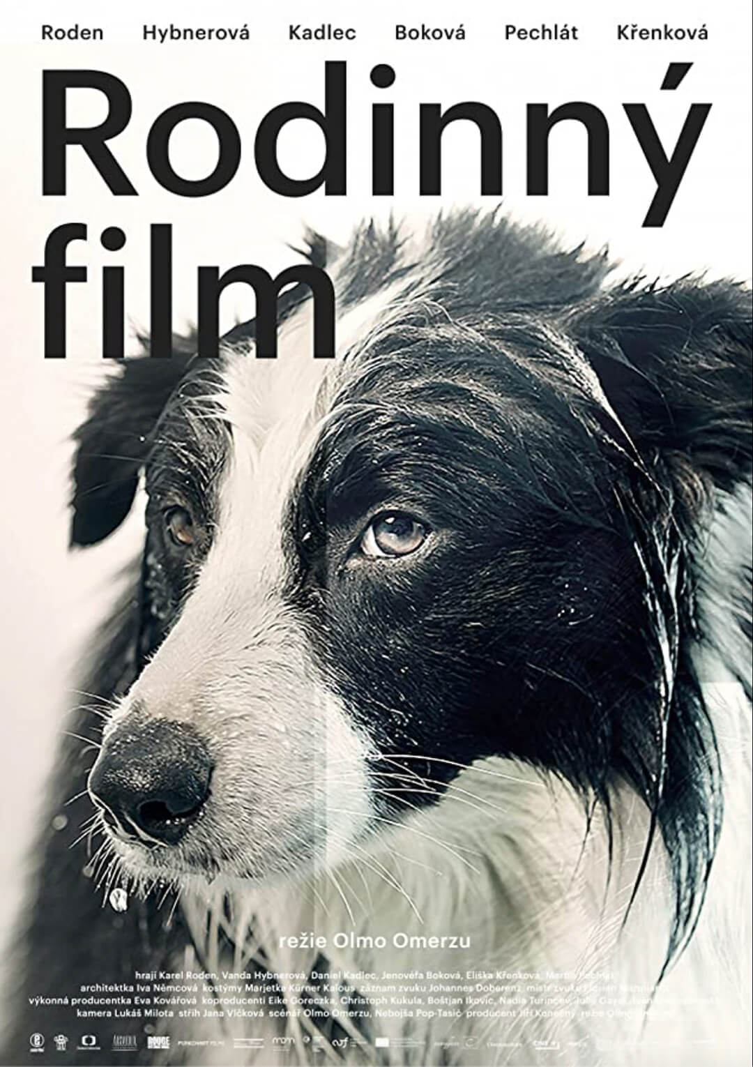 Rodinný film